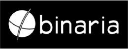 Logo binaria